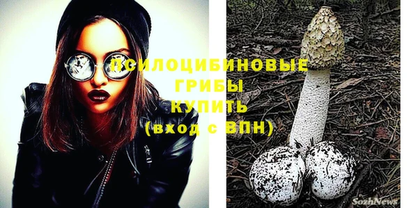 ПСИЛОЦИБИНОВЫЕ ГРИБЫ Алзамай